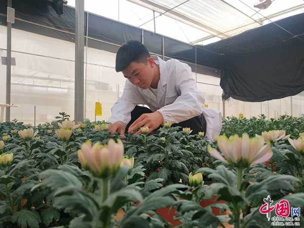 云南开远：坚持花卉全产业链发展 三年综合产值达60.34亿元(图2)