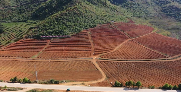 文山广南：规模化发展特色养殖助力乡村振兴(图1)