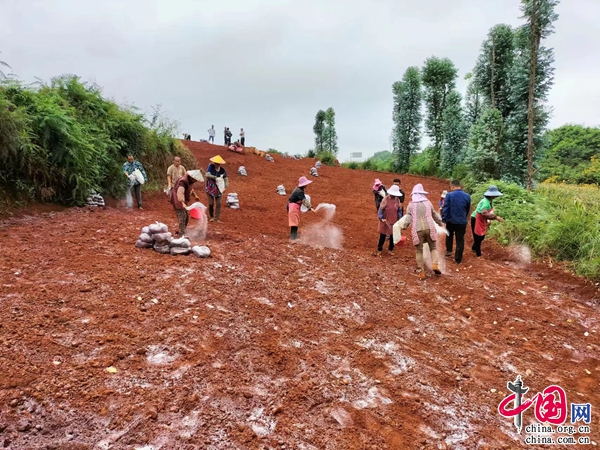 突破老地复种难关 云南文山市建成道地药材基地8.32万亩(图6)