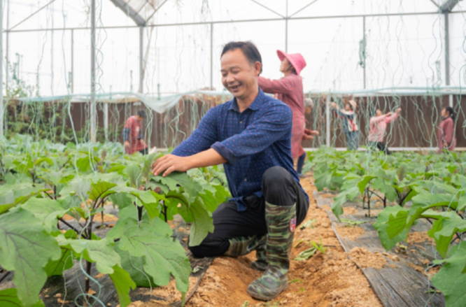 赣县区：打造粤港澳大湾区优质“菜篮子”(图4)