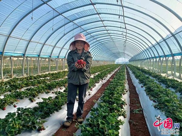 红河州水果产量连续5年位居云南省第一(图1)