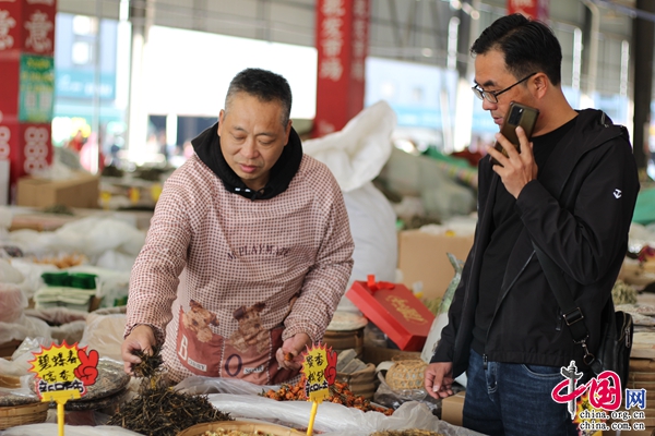 普洱首批春茶上市(图1)