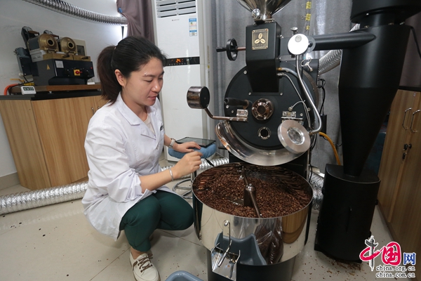 2023第八届云南咖啡生豆大赛暨第十一届普洱咖啡生豆大赛准备工作稳步推进(图1)