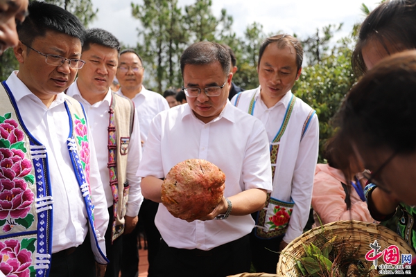 楚雄南华县：提升美食节影响力 擦亮“世界野生菌王国”品牌