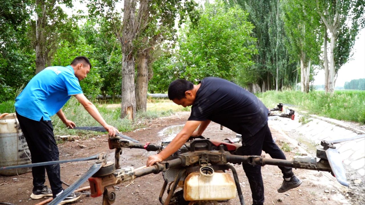 拜城：植保无人机空中作业忙 尽显辣椒田间管理“科技范”